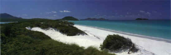 Whitehaven Beach.jpg (6854 bytes)